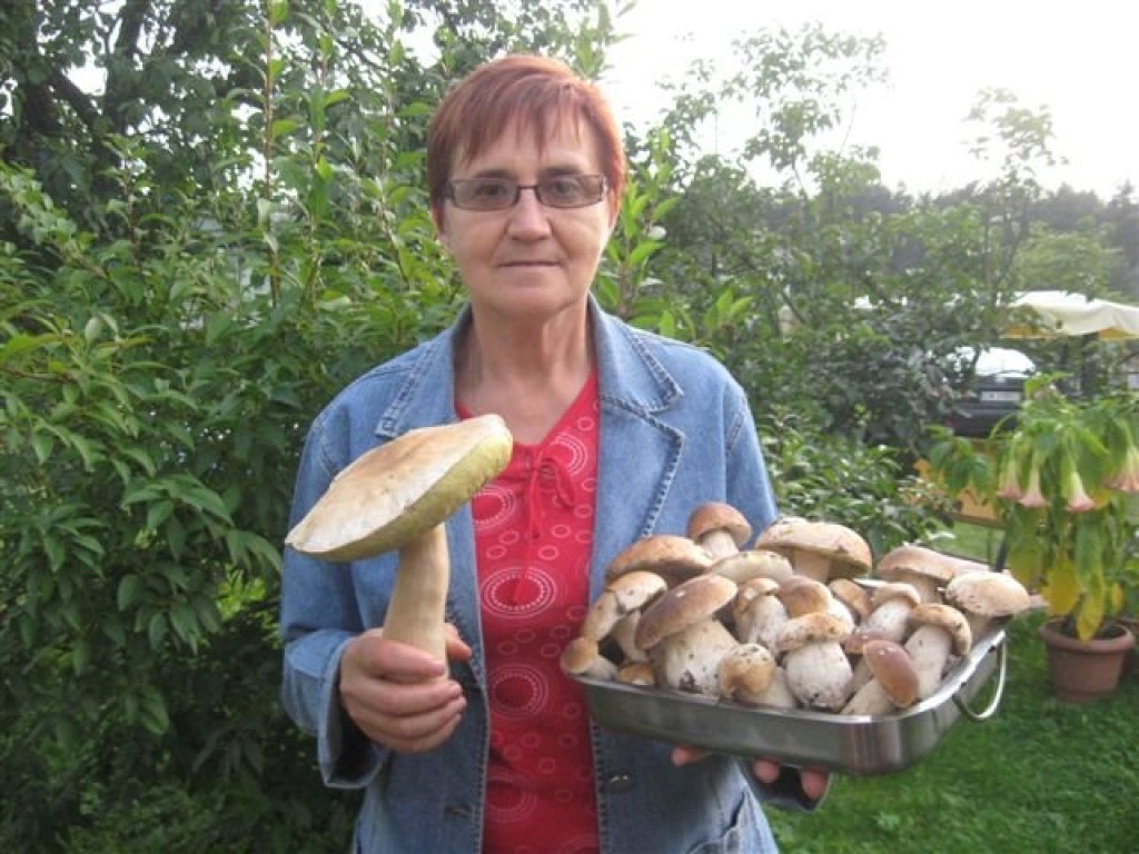 Konkurs 