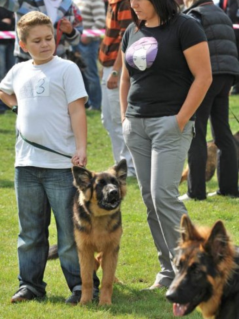 I Charytatywna Wystawa Psów w Libiążu – 6.09.2009 r.