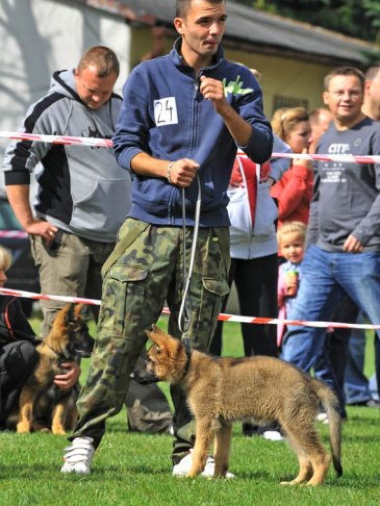 I Charytatywna Wystawa Psów w Libiążu – 6.09.2009 r.