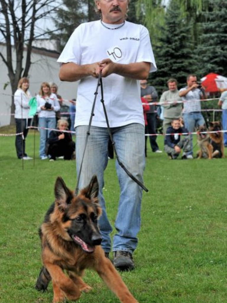 I Charytatywna Wystawa Psów w Libiążu – 6.09.2009 r.