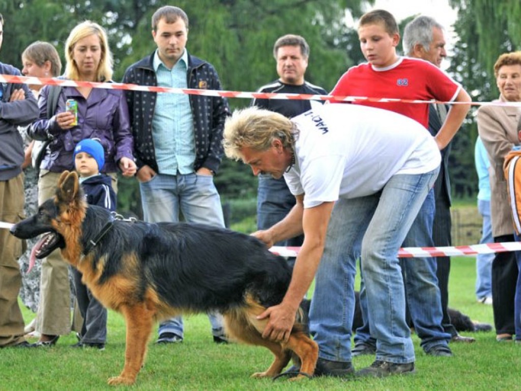 I Charytatywna Wystawa Psów w Libiążu – 6.09.2009 r.