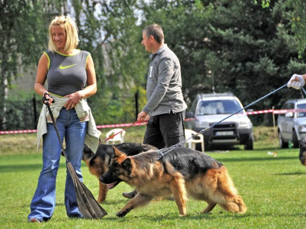 I Charytatywna Wystawa Psów w Libiążu – 6.09.2009 r.