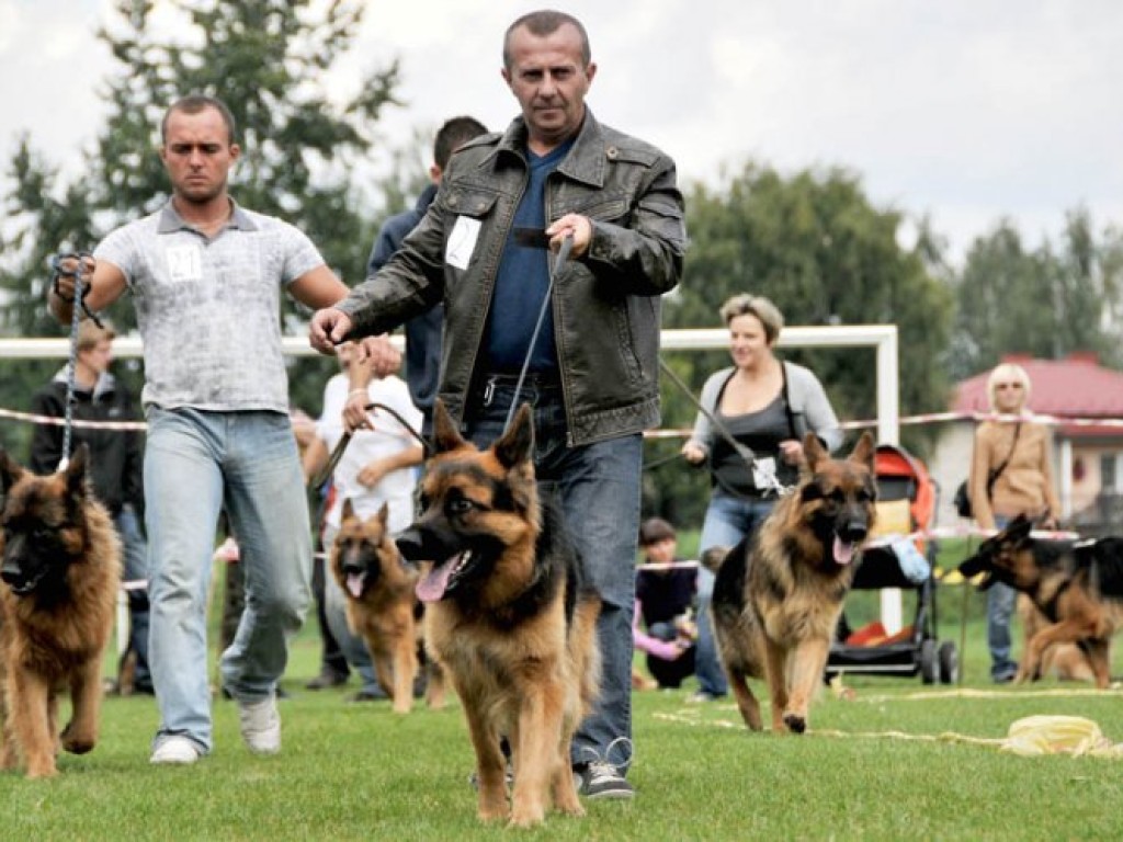 I Charytatywna Wystawa Psów w Libiążu – 6.09.2009 r.
