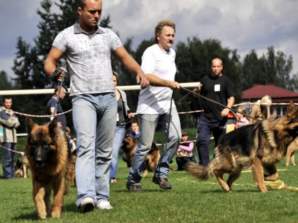 I Charytatywna Wystawa Psów w Libiążu – 6.09.2009 r.