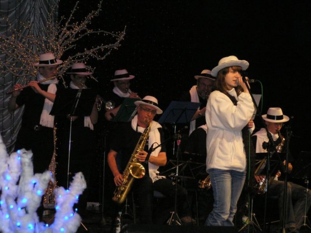 XVIII Finał Wielkiej Orkiestry Świątecznej Pomocy – 8-10 stycznia 2010 r.