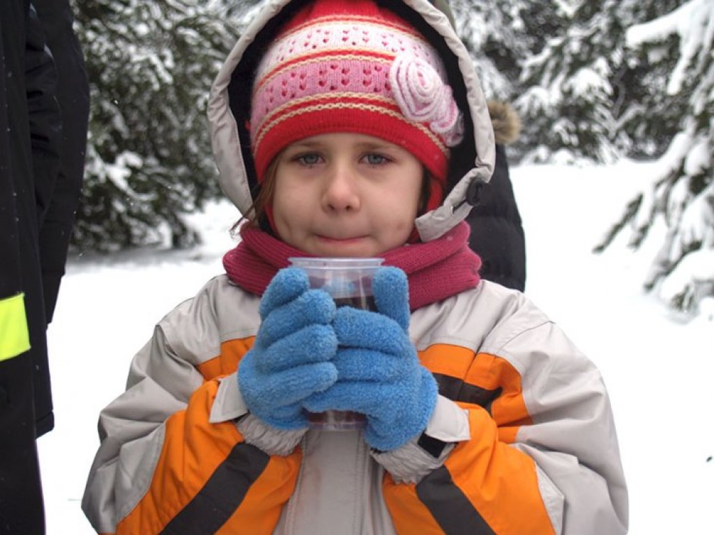 Kulig zorganizowany przez strażaków z OSP Młoszowa - 21.01.2010