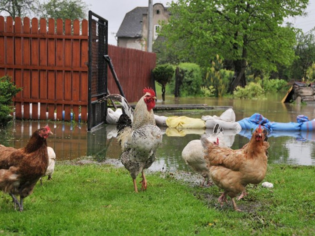 Przyszła wielka woda - maj 2010