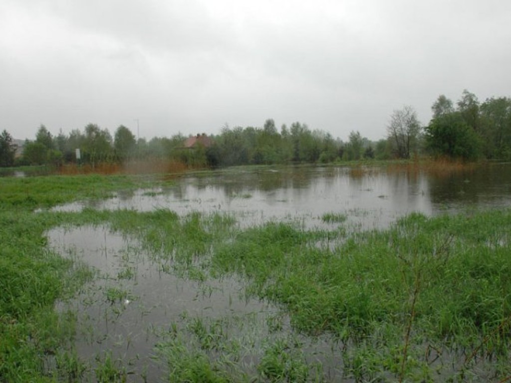 Przyszła wielka woda II - maj 2010