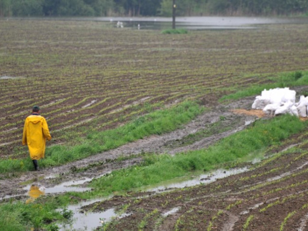 Przyszła wielka woda III - maj 2010