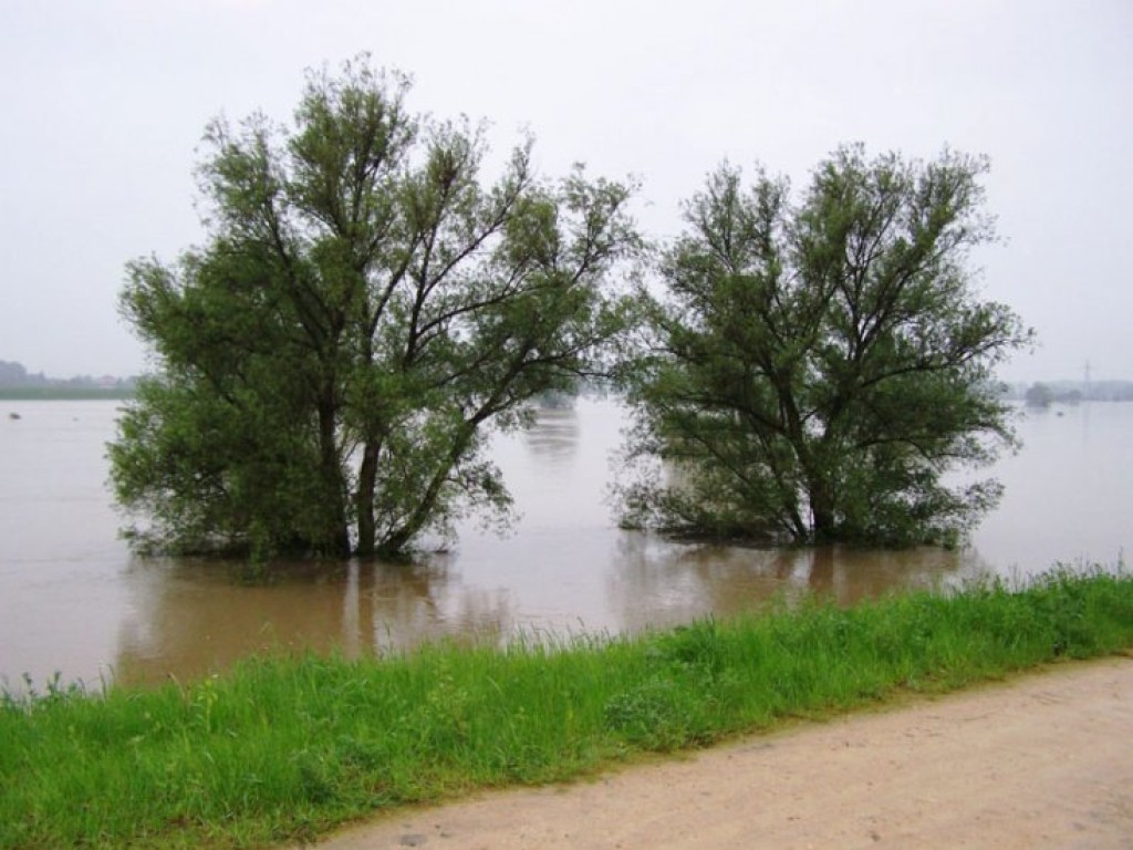 Przyszła wielka woda IV - maj 2010
