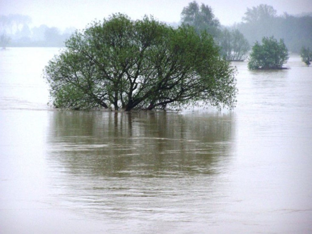Przyszła wielka woda IV - maj 2010
