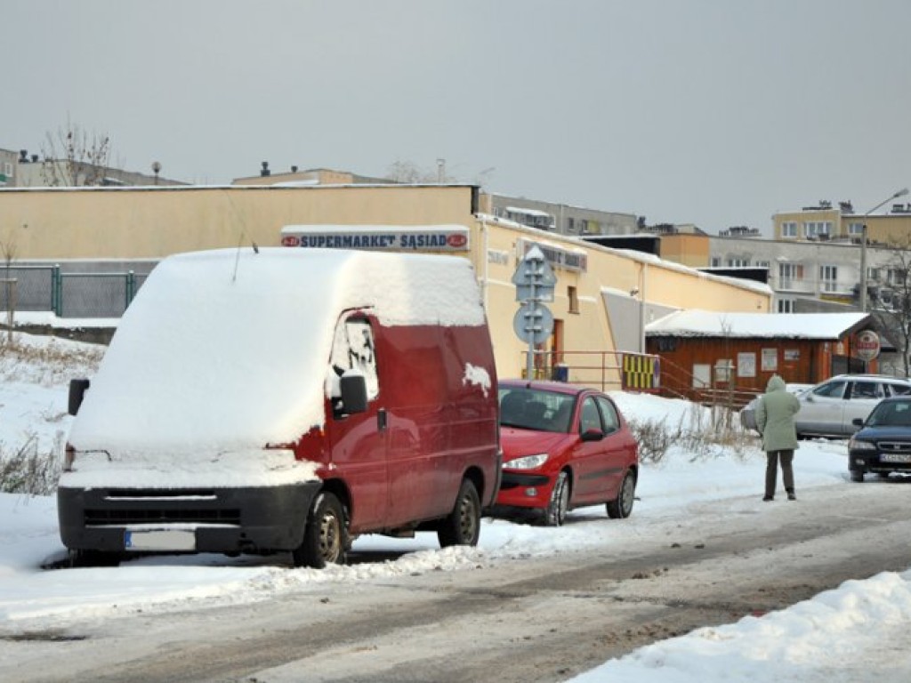 Przyszła zima - listopad/grudzień 2010