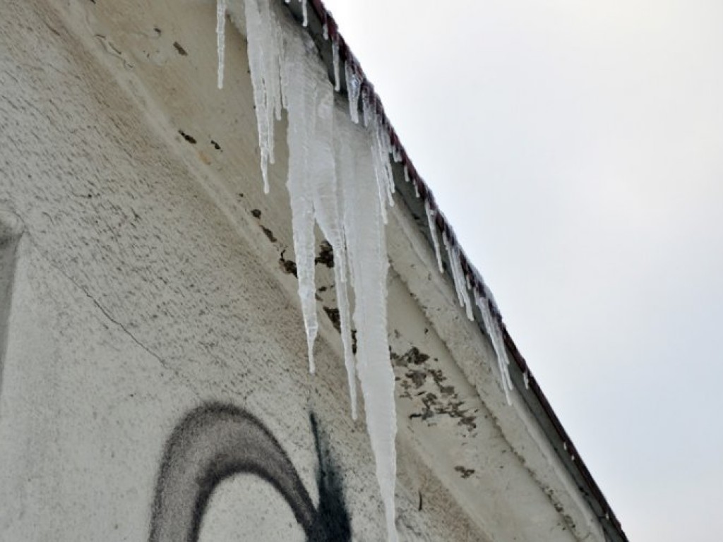 Przyszła zima - listopad/grudzień 2010
