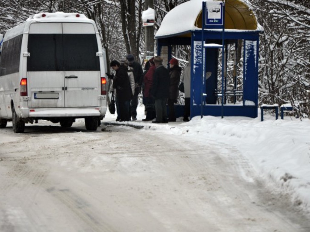 Przyszła zima - listopad/grudzień 2010