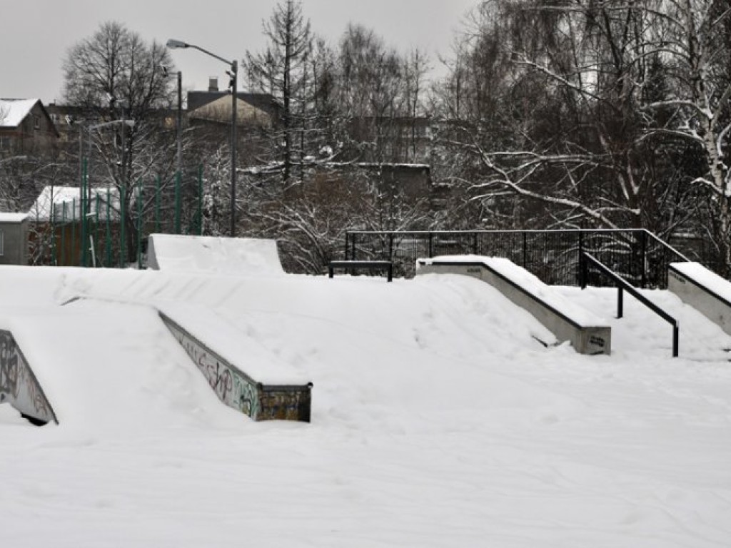 Przyszła zima - listopad/grudzień 2010