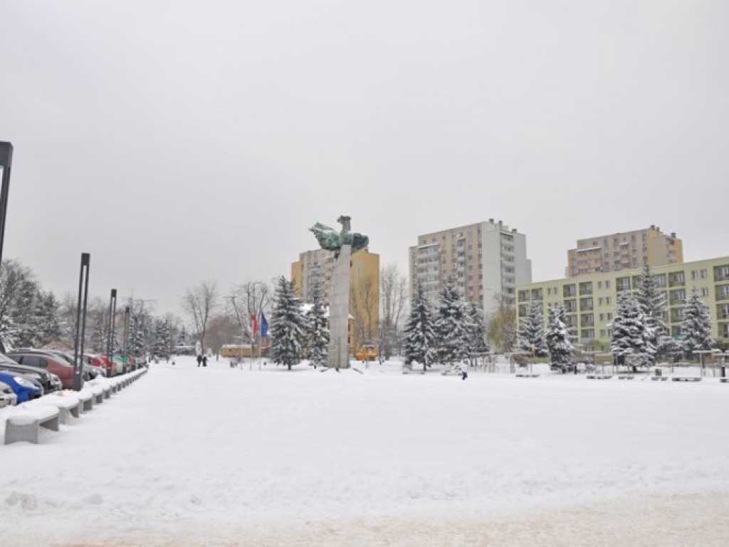 Przyszła zima - listopad/grudzień 2010