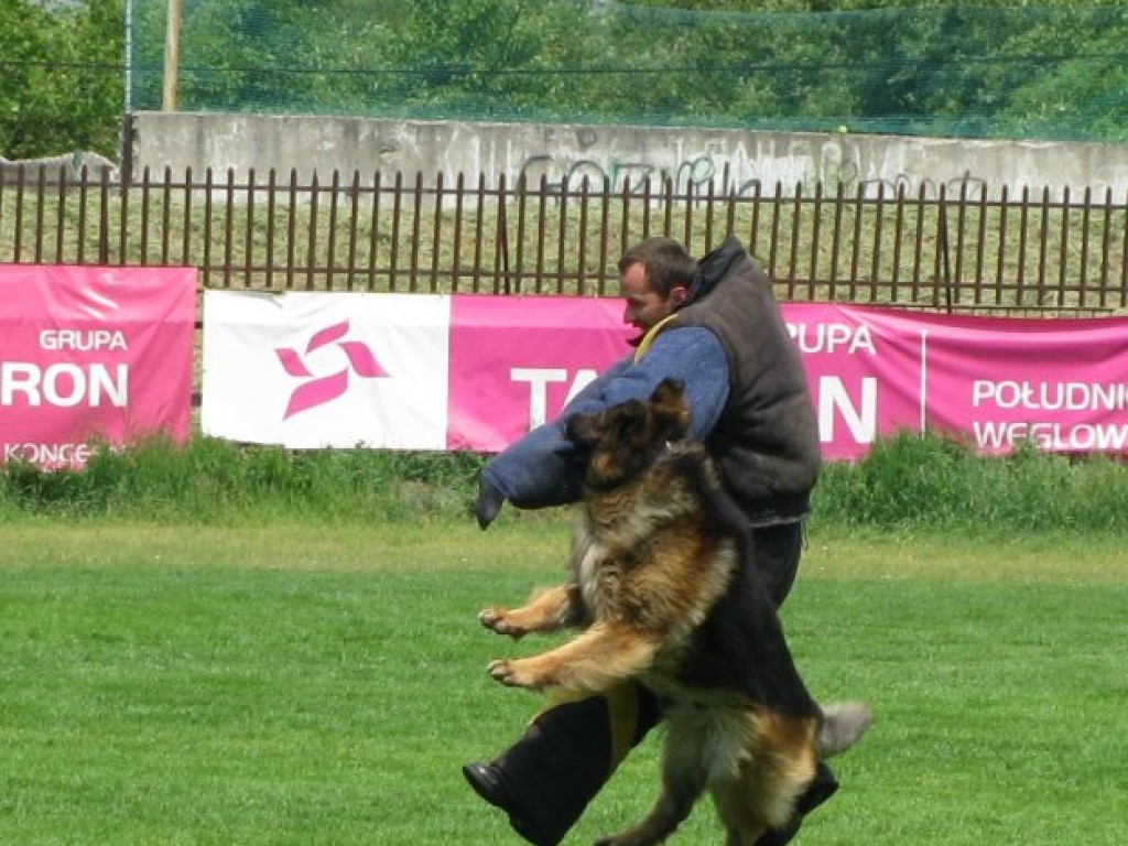 Dzień Dziecka w Libiążu – 1.06.2011 r.