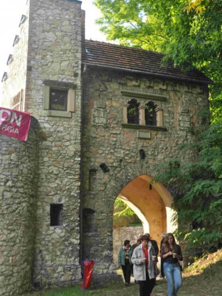 Dni Trzebini - 24 - 26.06.2011 r.