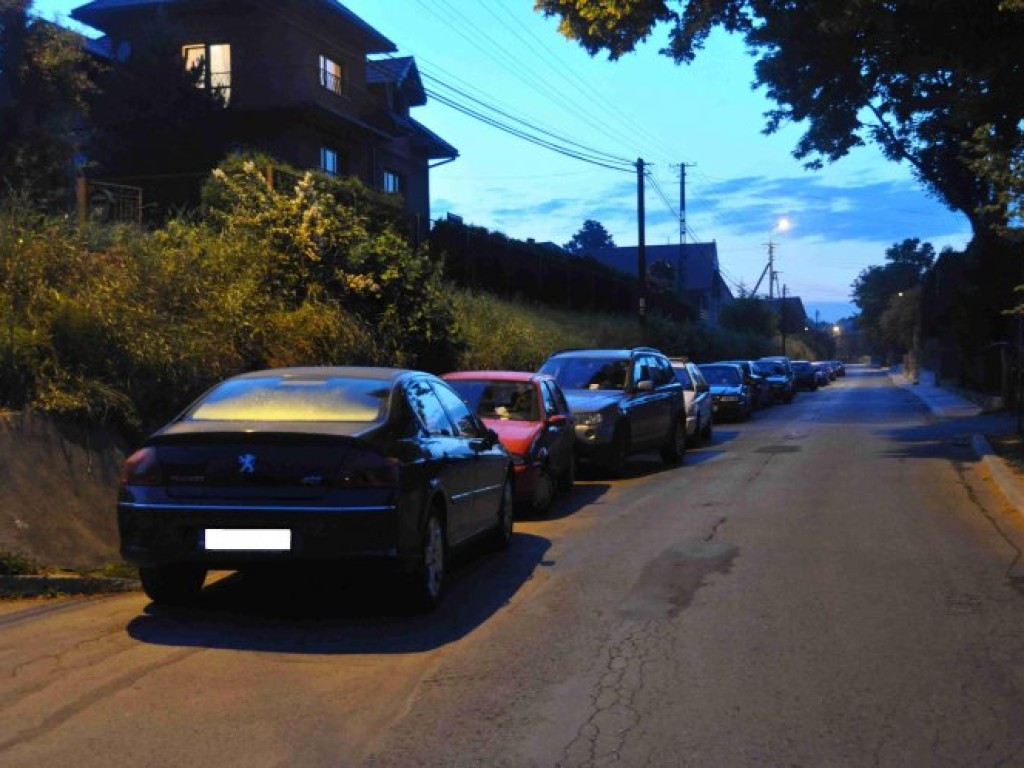Dni Trzebini - 24 - 26.06.2011 r.