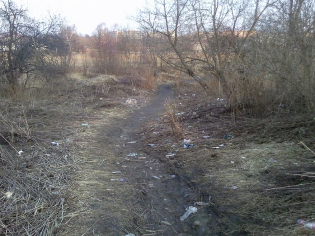 CHRZANÓW. Wysypisko śmieci za stacją paliw 