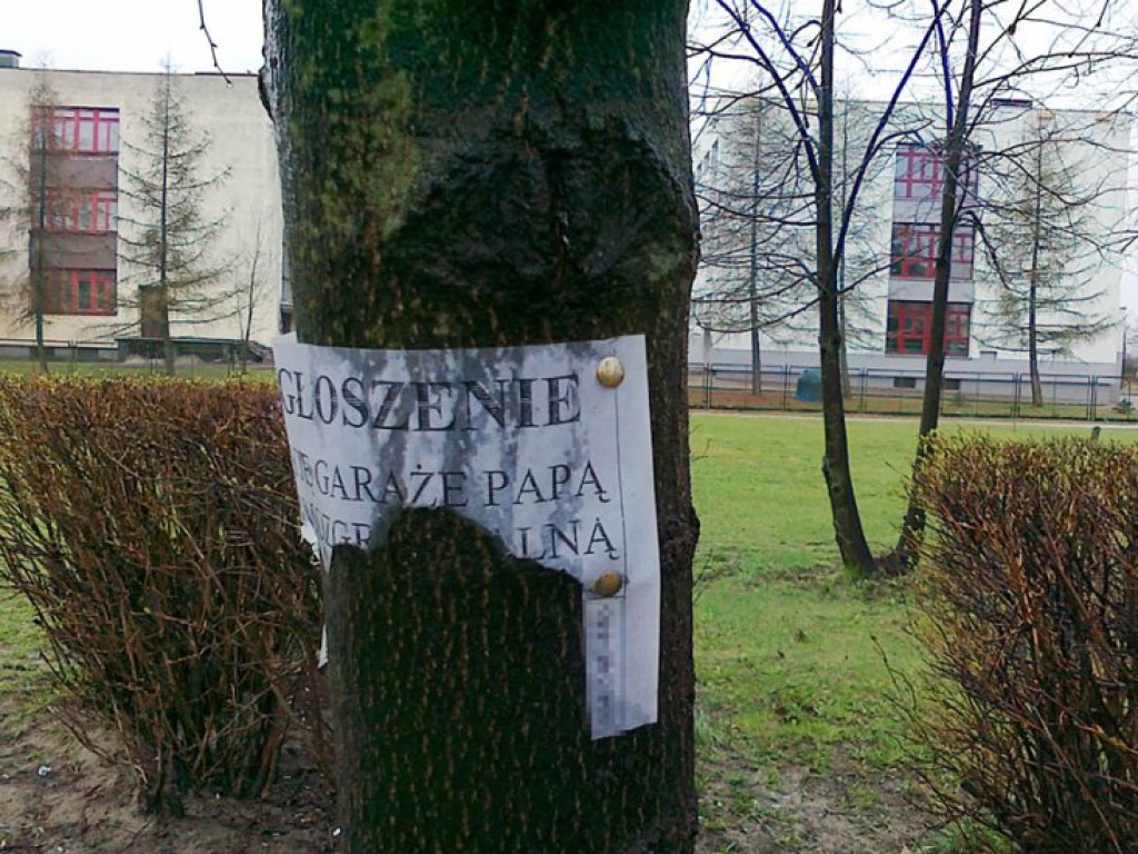 CHRZANÓW. Zniszczone drzewo