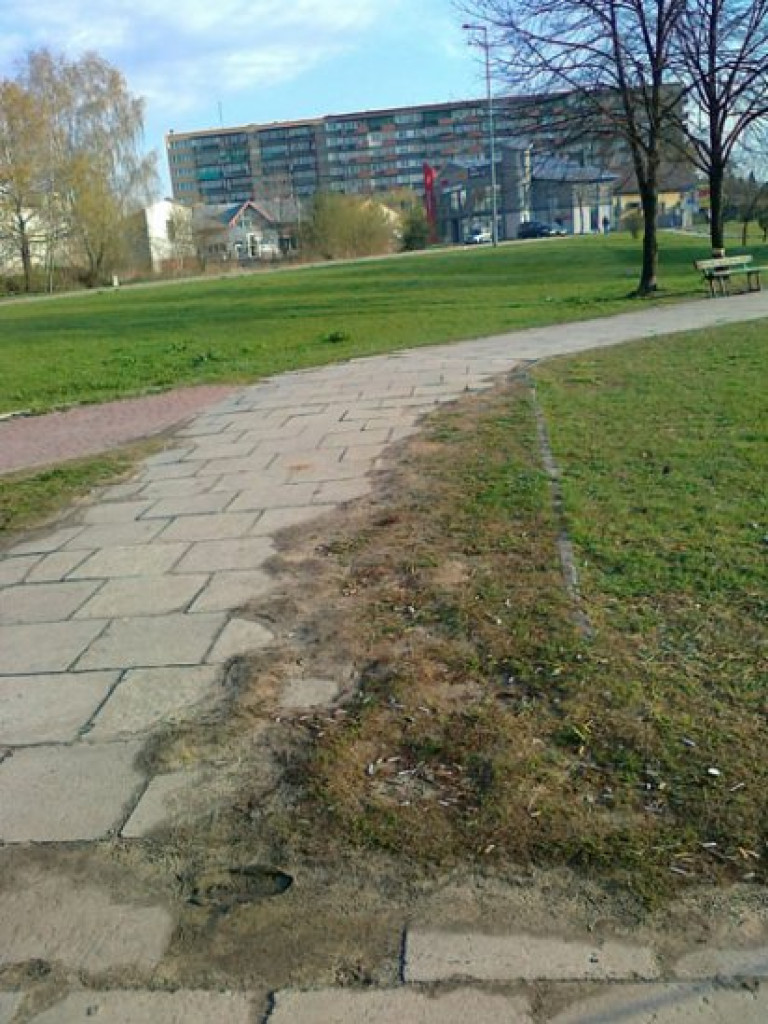 CHRZANÓW. Zniszczone drzewo