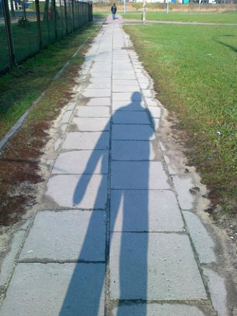 CHRZANÓW. Zniszczone drzewo