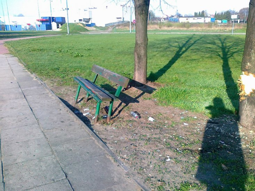 CHRZANÓW. Zniszczone drzewo