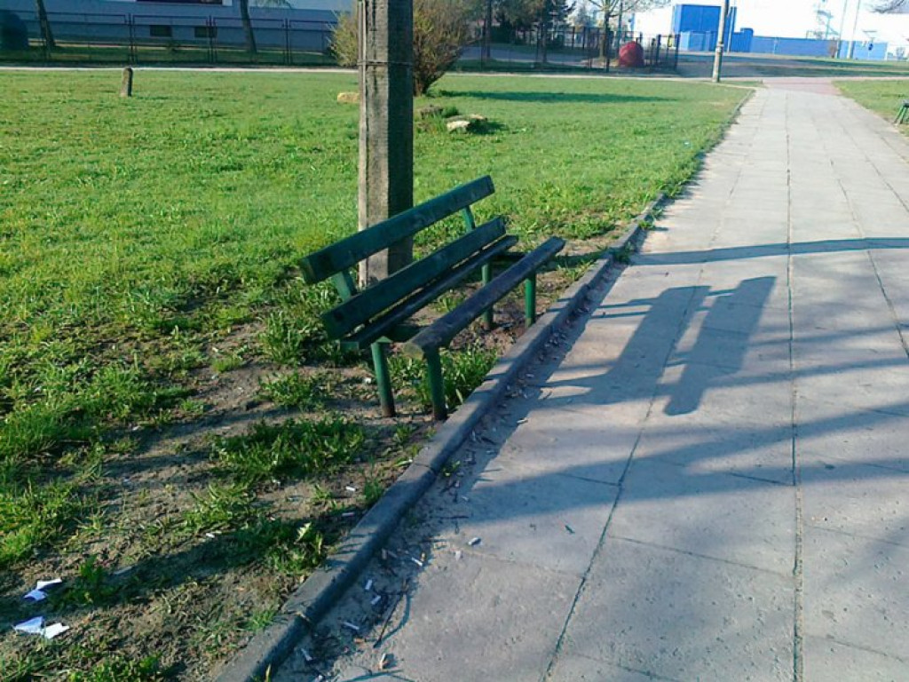 CHRZANÓW. Zniszczone drzewo