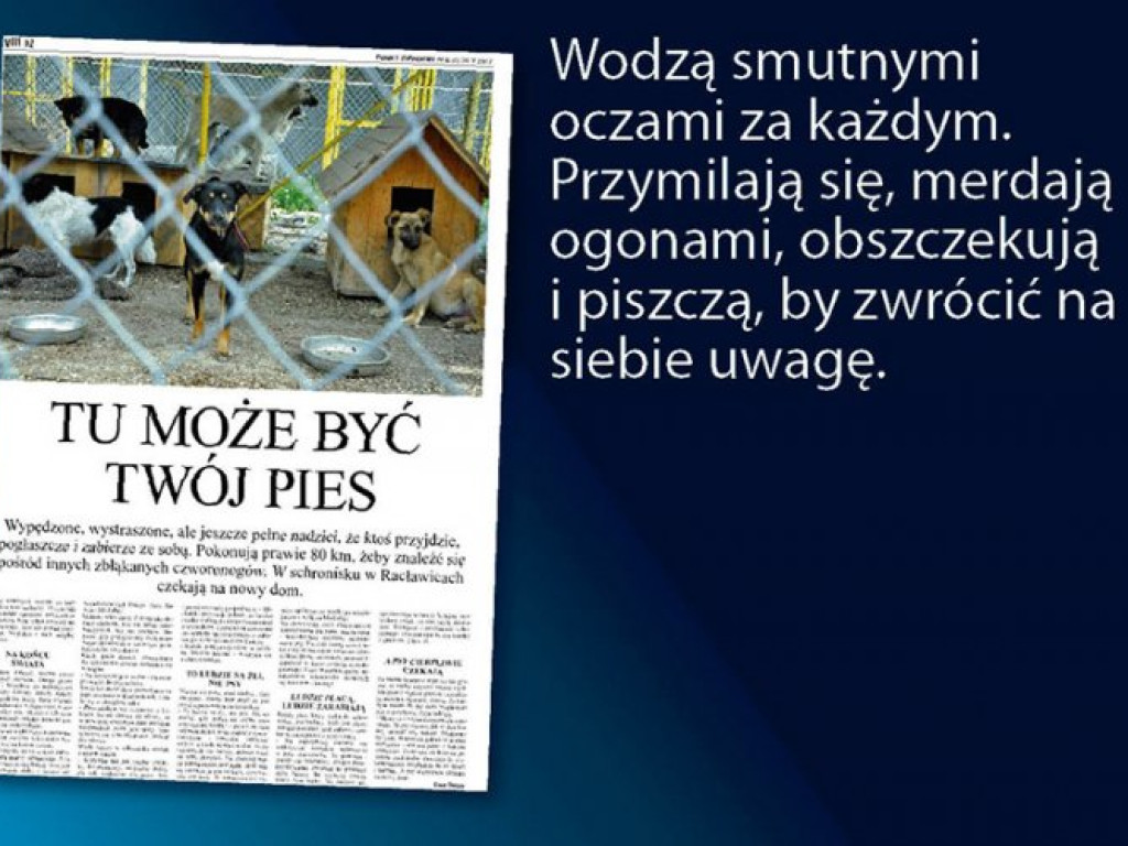 „Punkt Zwrotny” w sprzedaży z „Przełomem”