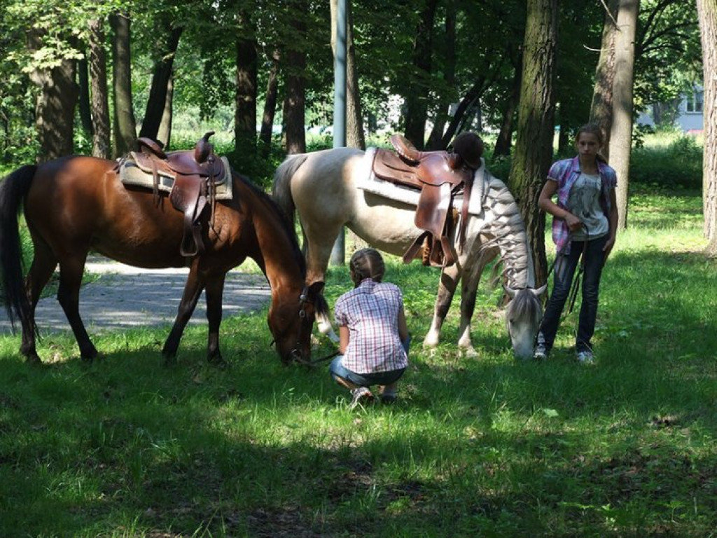 CHEŁMEK. Kwestowali dla chorego Bartusia