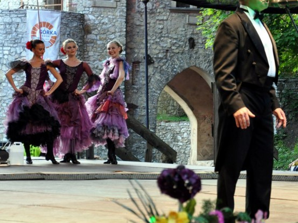 Dni Trzebini 29.06-1.07.2012 r.