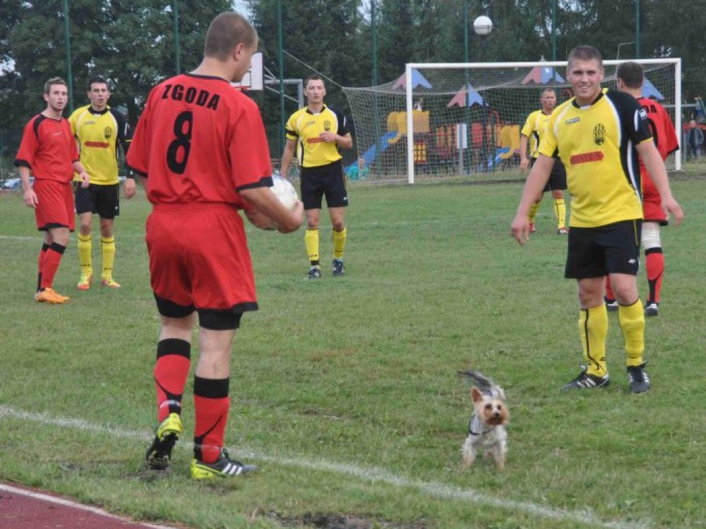 Sportowy weekend w obiektywie 11-12.08. 2012 r.