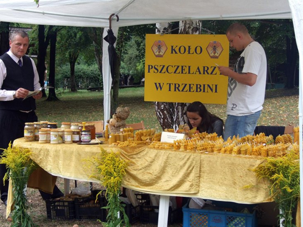 WYGIEŁZÓW. Niektórych odstraszyły chmury