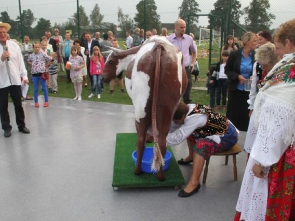 Gminne dożynki w Pogorzycach i Żarkach 2.09.2012