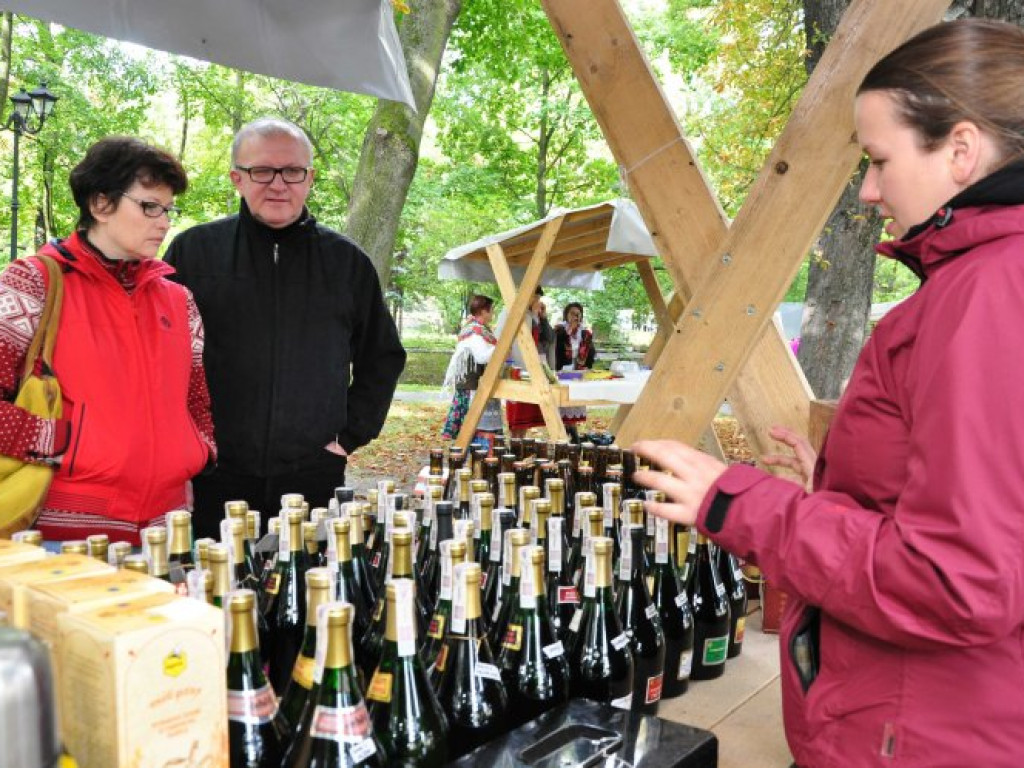 KRZESZOWICE. Pokazywali, jak zbiera się miód