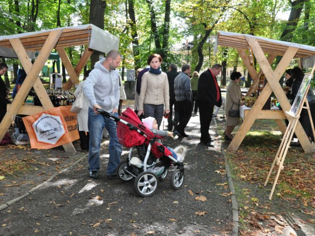 KRZESZOWICE. Pokazywali, jak zbiera się miód