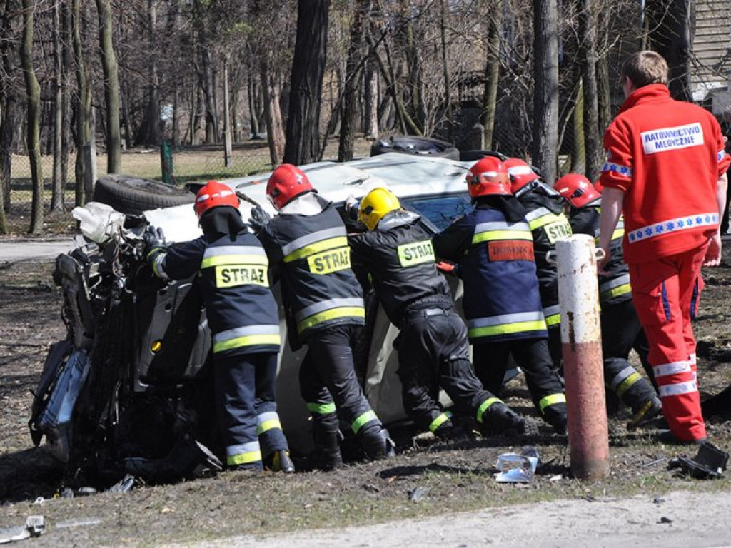 TRZEBINIA. Ściął przydrożne słupki i dachował w parku