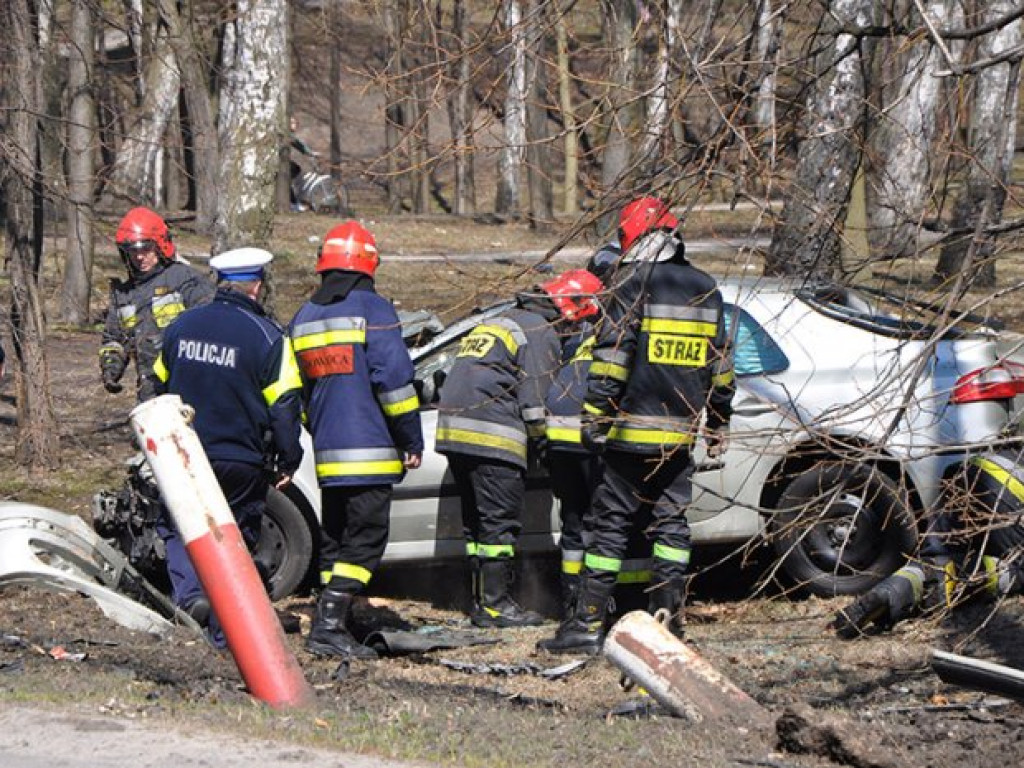 TRZEBINIA. Ściął przydrożne słupki i dachował w parku