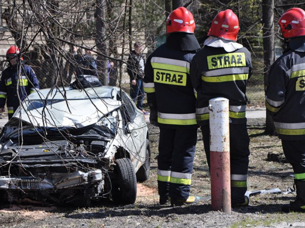 TRZEBINIA. Ściął przydrożne słupki i dachował w parku