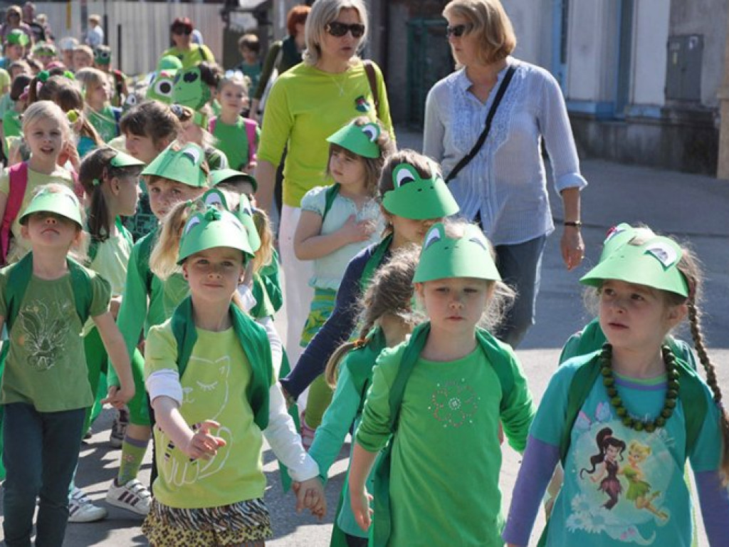 KRZESZOWICE. Żaby i ropuchy wyszły na ulice