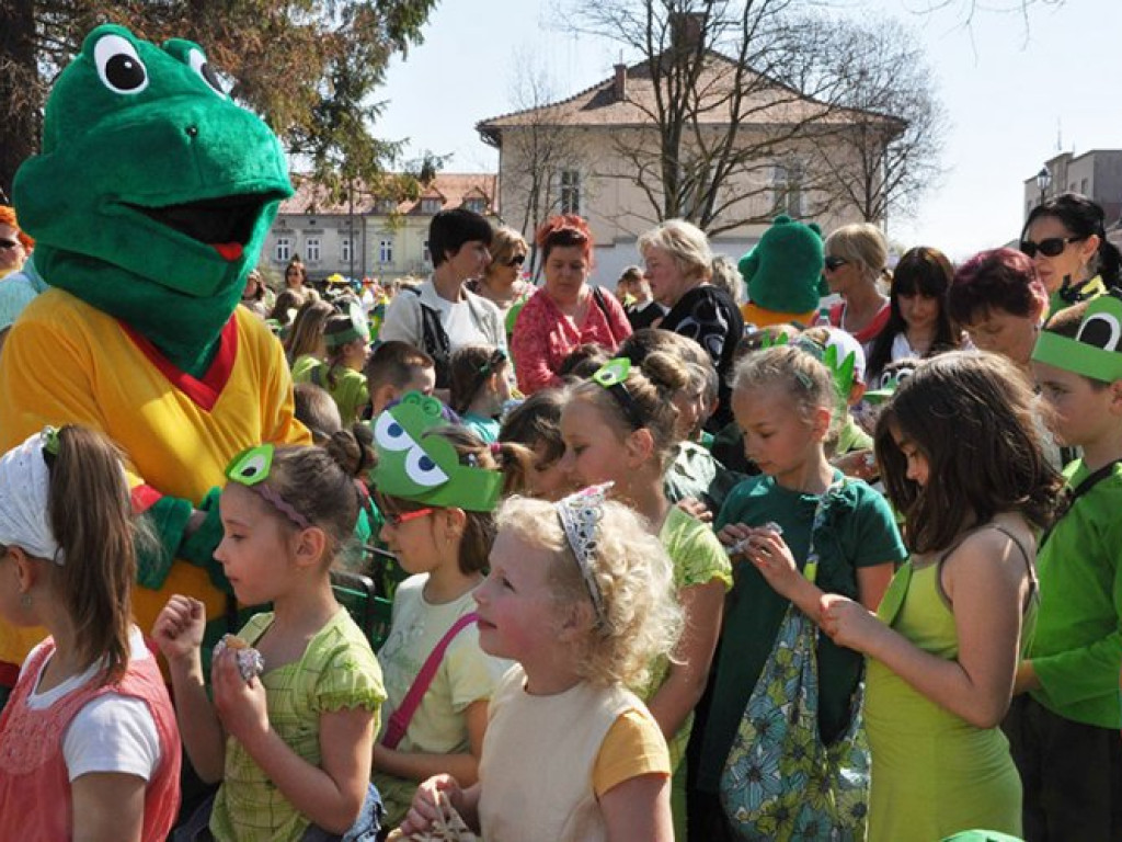 KRZESZOWICE. Żaby i ropuchy wyszły na ulice
