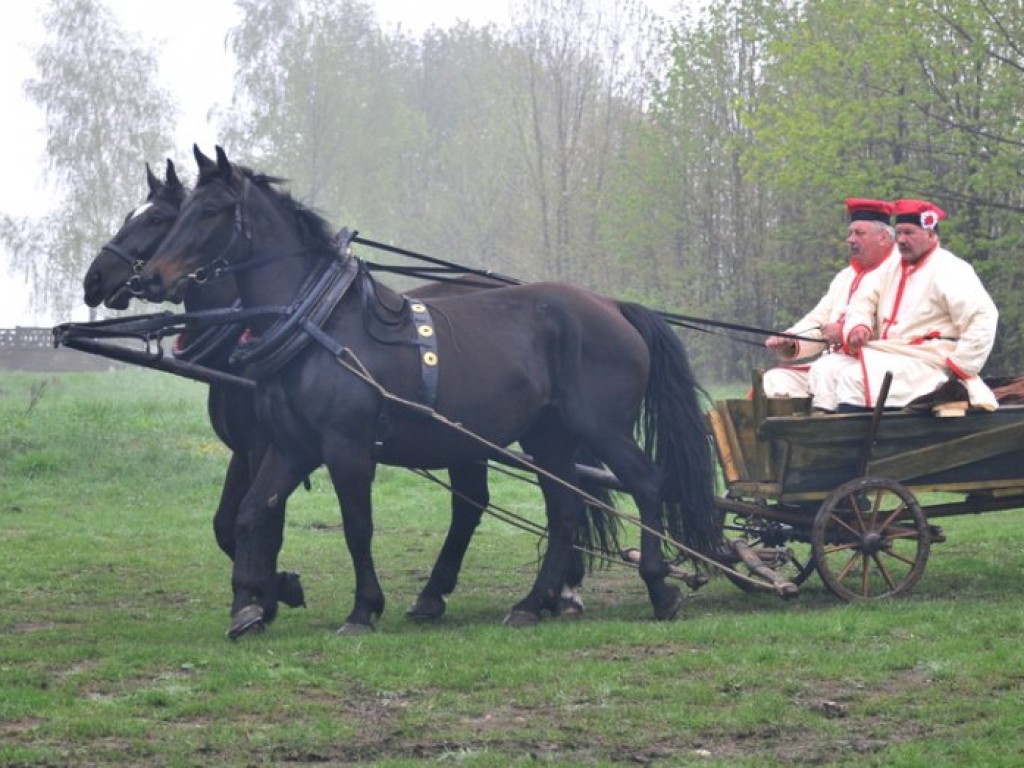 Rekonstrukcja potyczki w Płokach z czasów Powstania Styczniowego – 4.05.2013 r.