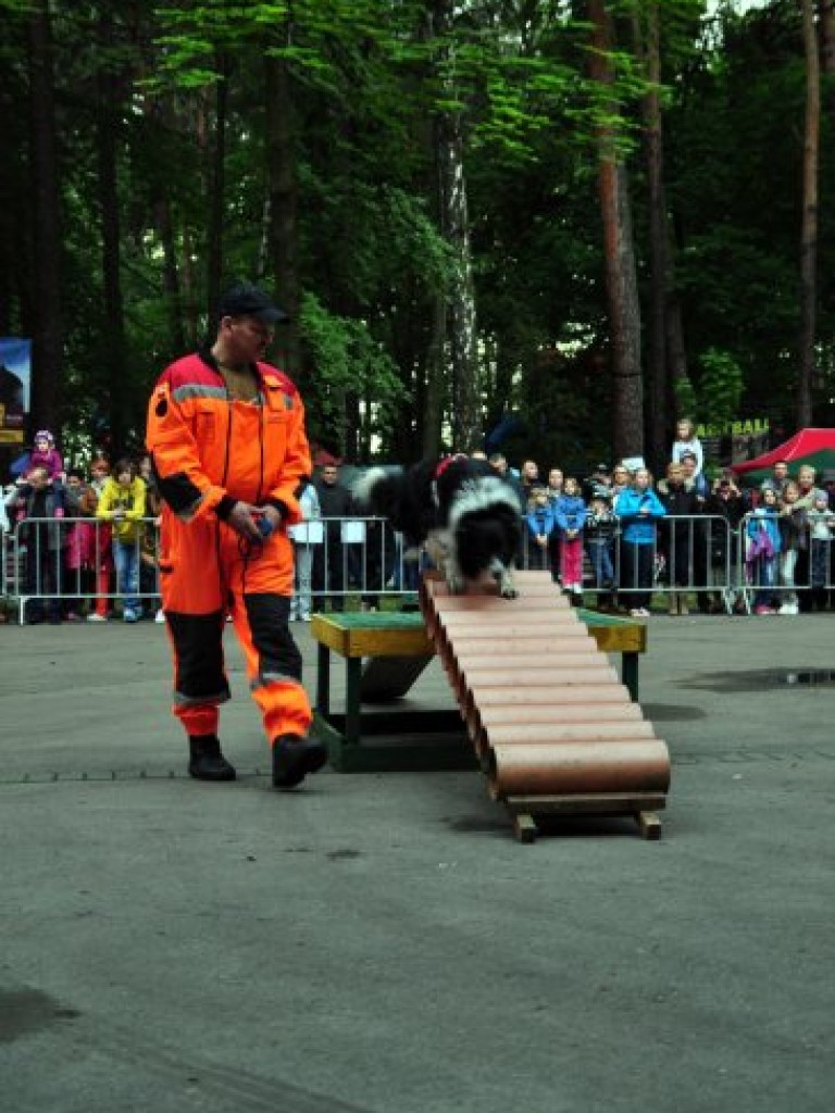 Dni Chełmka 25-26 maja 2013