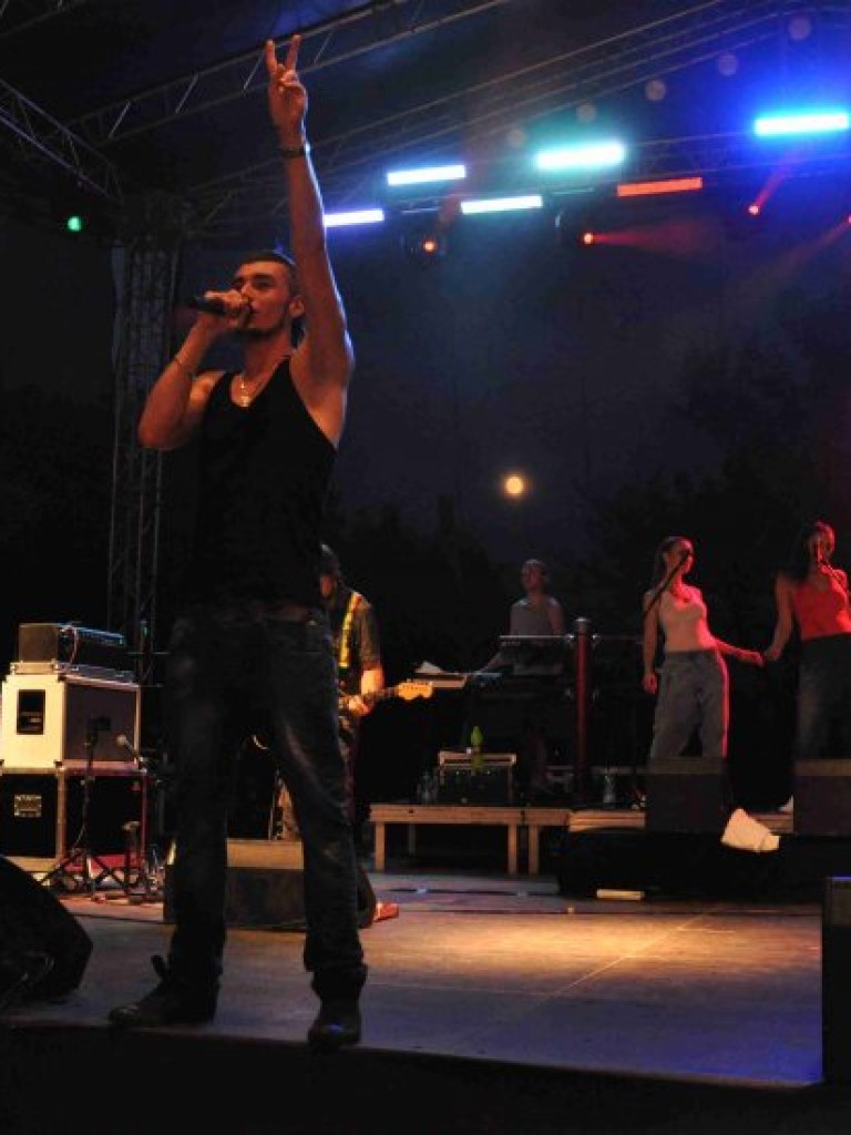 Dni Trzebini – czerwiec 2013