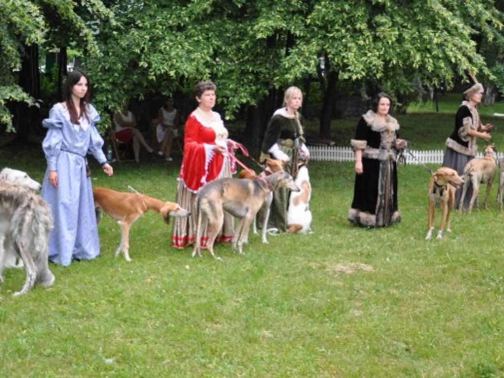 Krajowa Wystawa Chartów i Wybory kundelka powiatu chrzanowskiego – Wygiełzów 22-23.06.2013