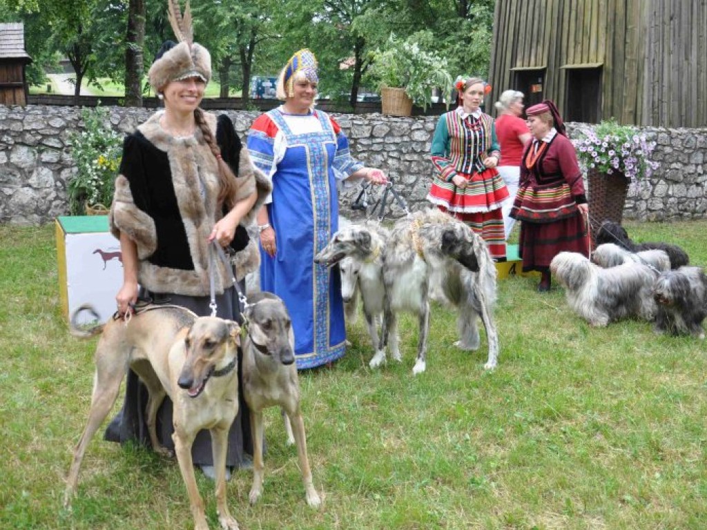 Krajowa Wystawa Chartów i Wybory kundelka powiatu chrzanowskiego – Wygiełzów 22-23.06.2013