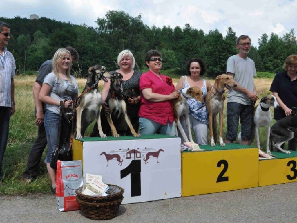 Krajowa Wystawa Chartów i Wybory kundelka powiatu chrzanowskiego – Wygiełzów 22-23.06.2013