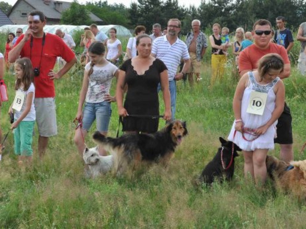 Krajowa Wystawa Chartów i Wybory kundelka powiatu chrzanowskiego – Wygiełzów 22-23.06.2013