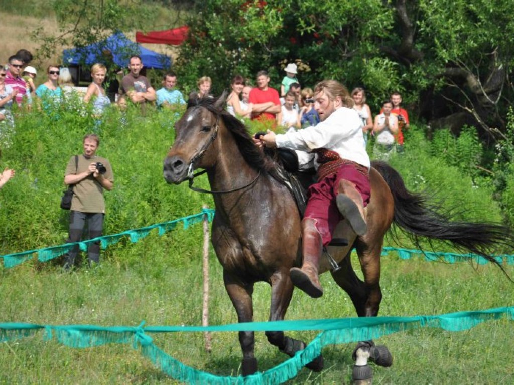Krajowa Wystawa Chartów i Wybory kundelka powiatu chrzanowskiego – Wygiełzów 22-23.06.2013